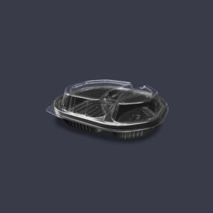 CPP2319-43N-2D
