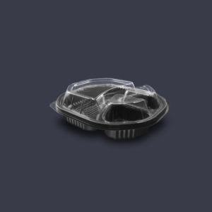 CPP2319-43N-3D