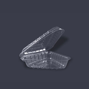 RP31